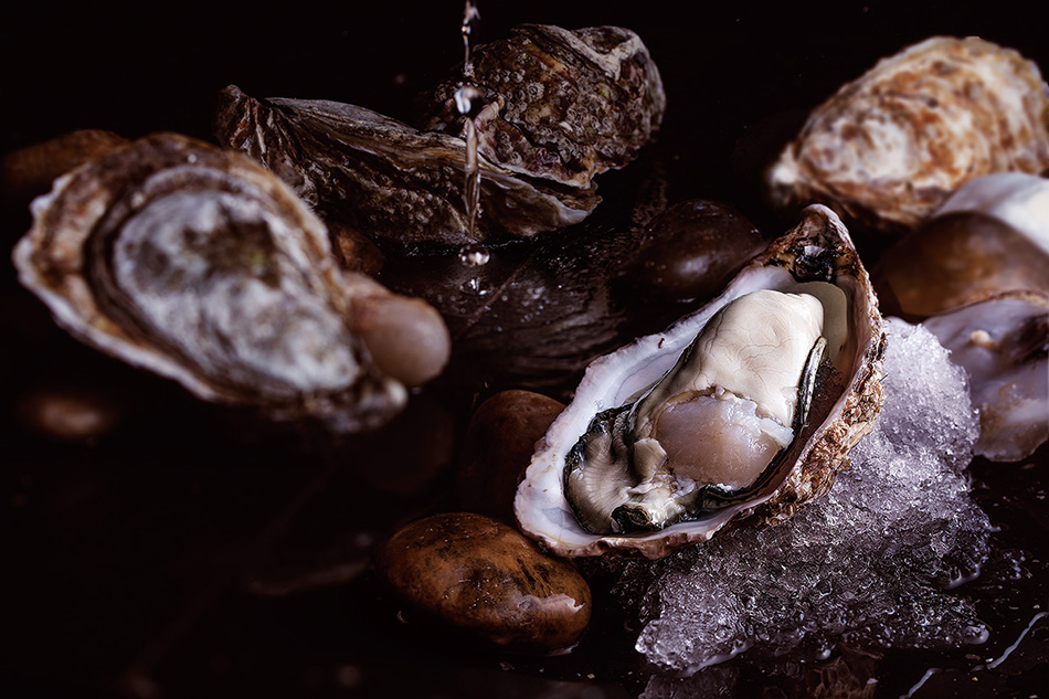 千歲融合，日本壽司+法式鐵板燒，北辰品牌設(shè)計