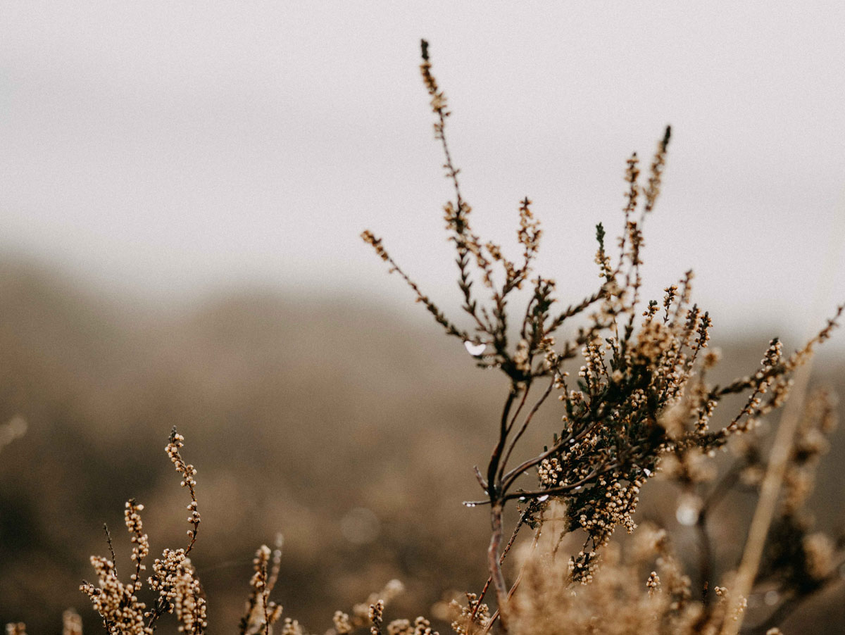 深圳平面設(shè)計
