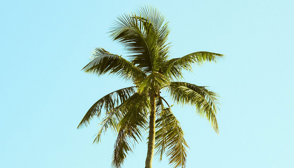 包裝設(shè)計公司