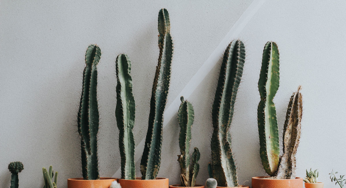 深圳食品包裝設(shè)計