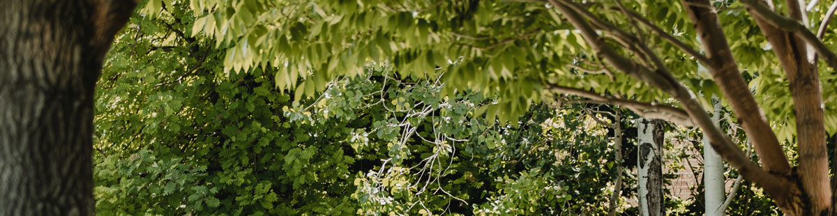 深圳包裝設(shè)計