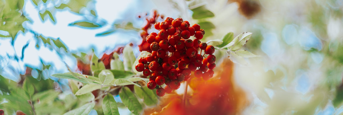 深圳平面設(shè)計(jì)公司