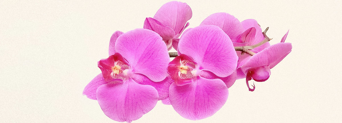 深圳食品包裝設(shè)計(jì)