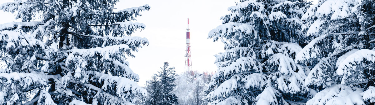 品牌策略全案設(shè)計(jì)