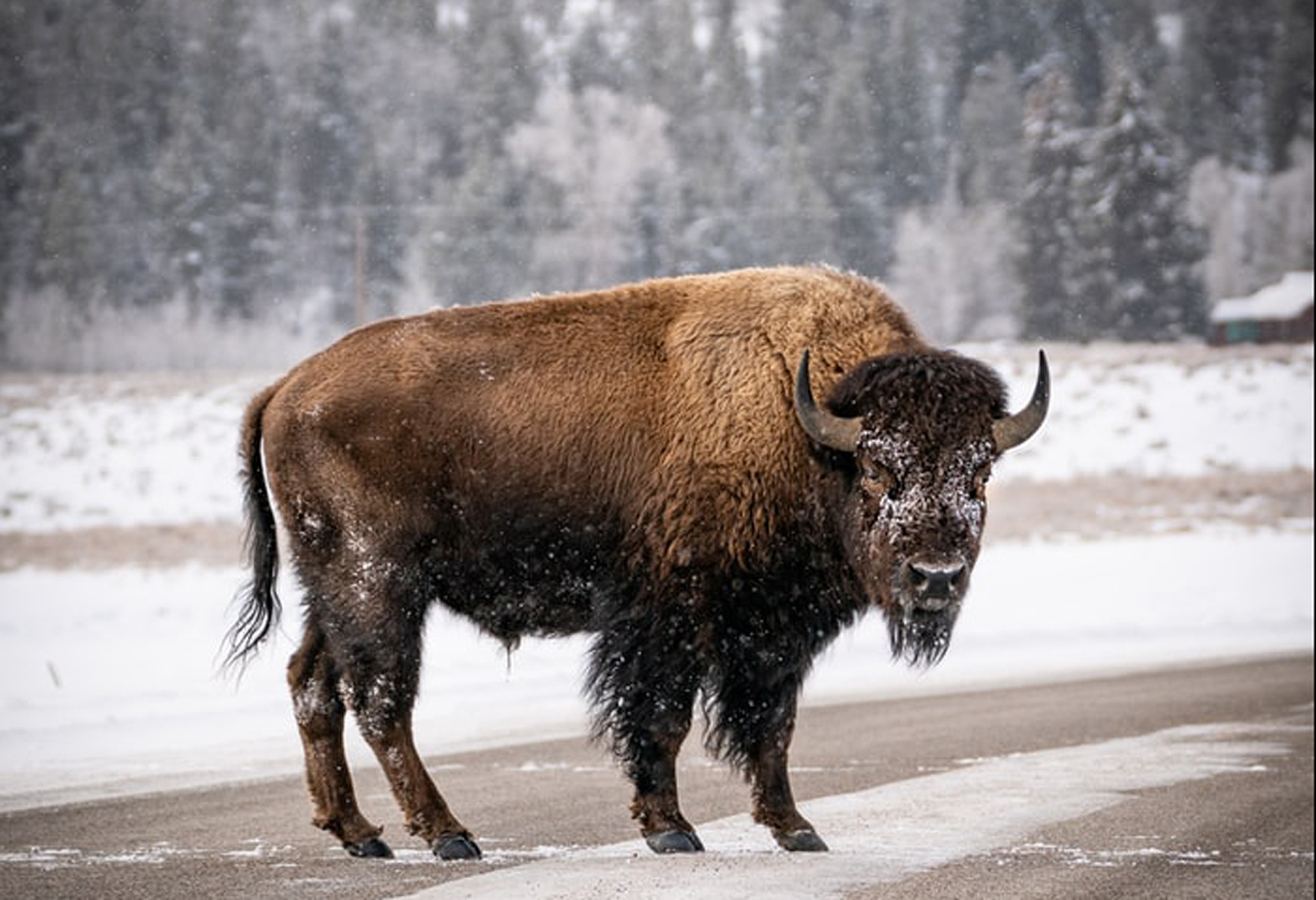 品牌設(shè)計(jì)公司