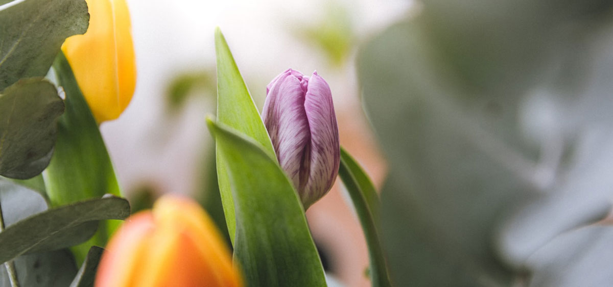 品牌全案設(shè)計(jì)公司