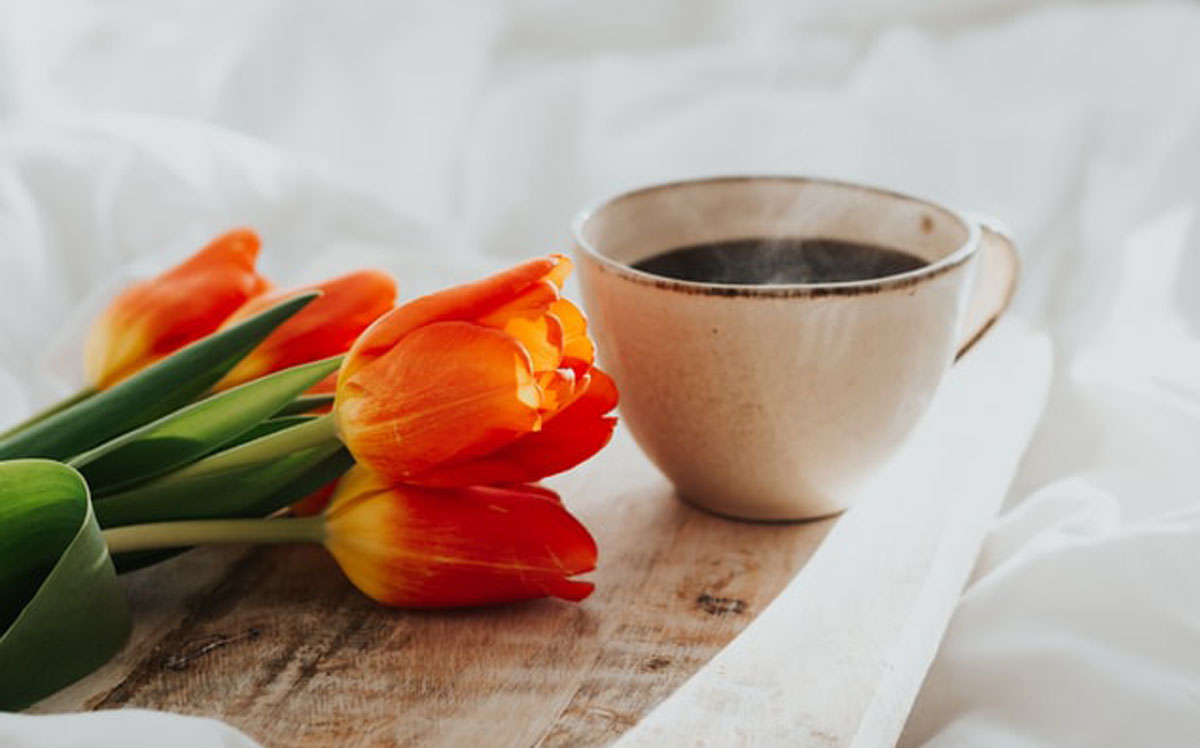 品牌設(shè)計公司