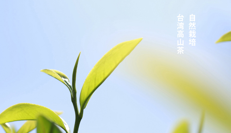 046d68ac1d5e563fecc82c9552de5a7e1621589082.jpg 66.jpg