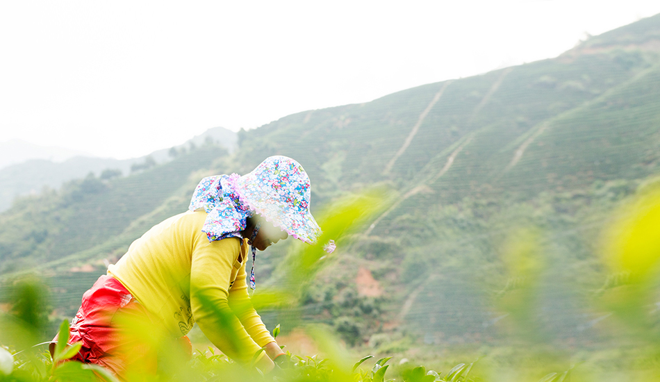 4014e5f28eca6c1b389424293034f38c1621588828.jpg 08.jpg