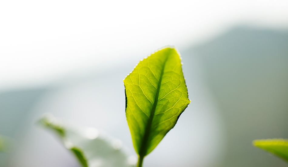 a4e3ce87558297a117348a2455d055d31621588791.jpg 03.jpg